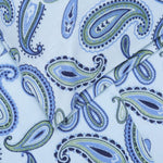 Superior Luxury 100% Cotton Flannel Vintage Paisley Pillowcase Set