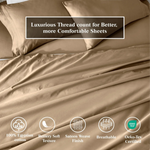 100% Egyptian Cotton 650 Thread Count Solid Pillowcase Set