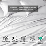 100% Egyptian Cotton 650 Thread Count Solid Pillowcase Set