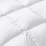 Brushed Microfiber Down Alternative Comforter Medium Weight Solid