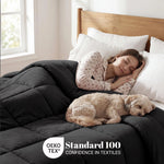 Brushed Microfiber Down Alternative Comforter Medium Weight Solid