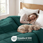 Brushed Microfiber Down Alternative Comforter Medium Weight Solid