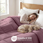 Brushed Microfiber Down Alternative Comforter Medium Weight Solid