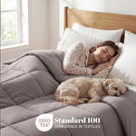 Brushed Microfiber Down Alternative Comforter Medium Weight Solid
