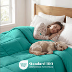 Brushed Microfiber Down Alternative Comforter Medium Weight Solid