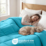 Brushed Microfiber Down Alternative Comforter Medium Weight Solid