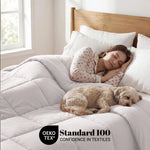 Brushed Microfiber Down Alternative Comforter Medium Weight Solid