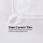 Brushed Microfiber Down Alternative Comforter Medium Weight Solid
