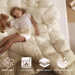 Brushed Microfiber Down Alternative Comforter Medium Weight Solid