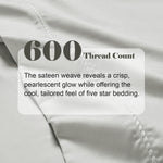 600 Thread Count Cotton Blend Pillowcases Set of 2