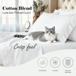 600 Thread Count Cotton Blend Pillowcases Set of 2