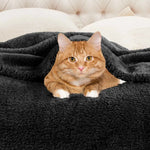 Superior Fleece Plush Medium Weight Fluffy Solid Decorative Blanket