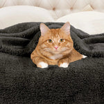 Superior Fleece Plush Medium Weight Fluffy Solid Decorative Blanket