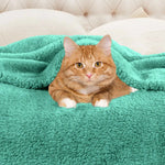 Superior Fleece Plush Medium Weight Fluffy Solid Decorative Blanket