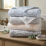 Jasper Cotton Geometric Jacquard Plush Bath Towel Set 2-Piece