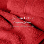 12-Piece Egyptian Cotton Plush Towel Set – Madeline