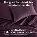 Cotton Flannel Pillowcases Soft Fuzzy Set of 2