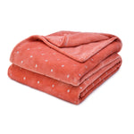 Superior Fleece Plush Medium Weight Fluffy Soft Decorative Blanket