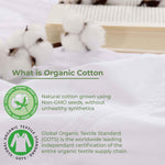 Superior Gina Organic Cotton 300 Thread Count Percale Flat Bed Sheet