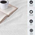 Superior Jena Cotton Textured Chevron Lightweight Woven Blanket